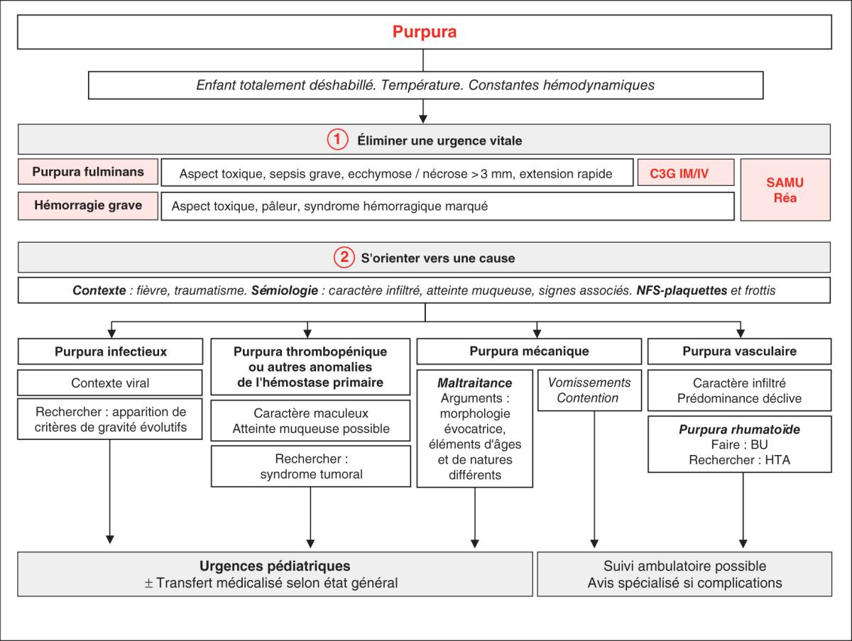 Fig. 24.2. Conduite diagnostique en cas de purpura chez l’enfant.