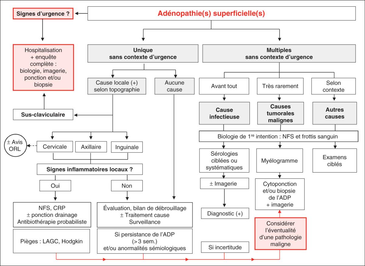 Fig. 25.1. Conduite à tenir en cas d’adénopathie(s) superficielle(s).