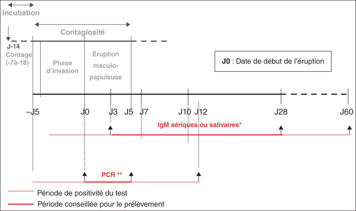 Fig. 38.4. Rougeole : évolution clinique et biologique.