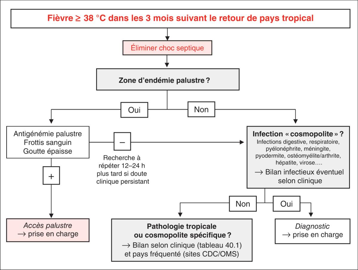 Fig. 40.1. Algorithme diagnostique d’une fièvre de retour de pays tropical chez l’enfant.