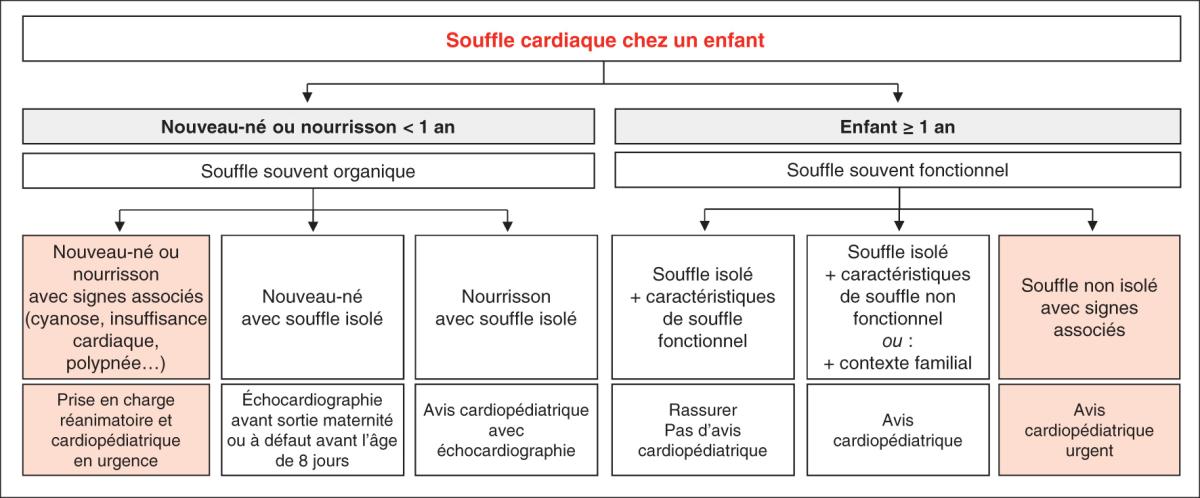 Fig. 64.2. Conduite à tenir à la découverte d’un souffle cardiaque chez l’enfant.