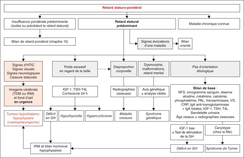 Fig. 1.5. Orientation diagnostique devant un retard de taille.
