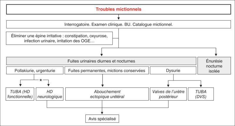 Fig. 49.1.  Algorithme de prise en charge d’un trouble mictionnel.