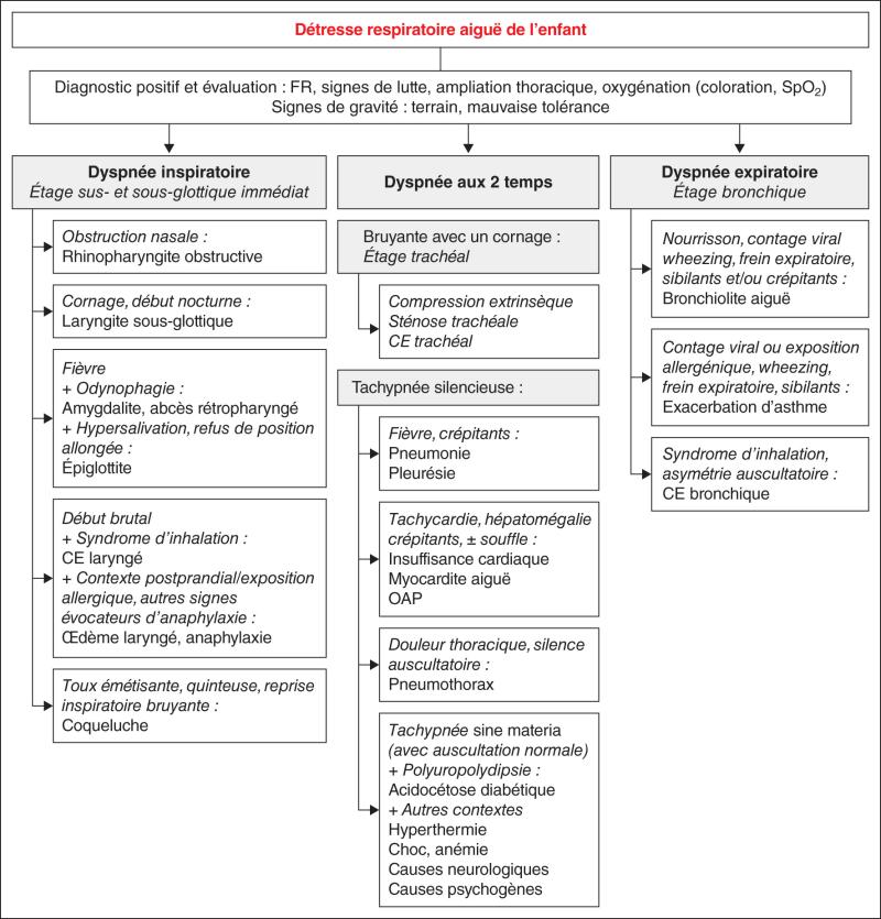 Fig. 54.1. Principales causes de dyspnée aiguë.
