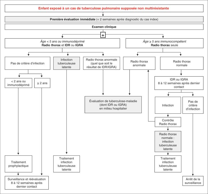 Fig. 61.1. Conduite à tenir chez l’enfant exposé à un cas de tuberculose pulmonaire.