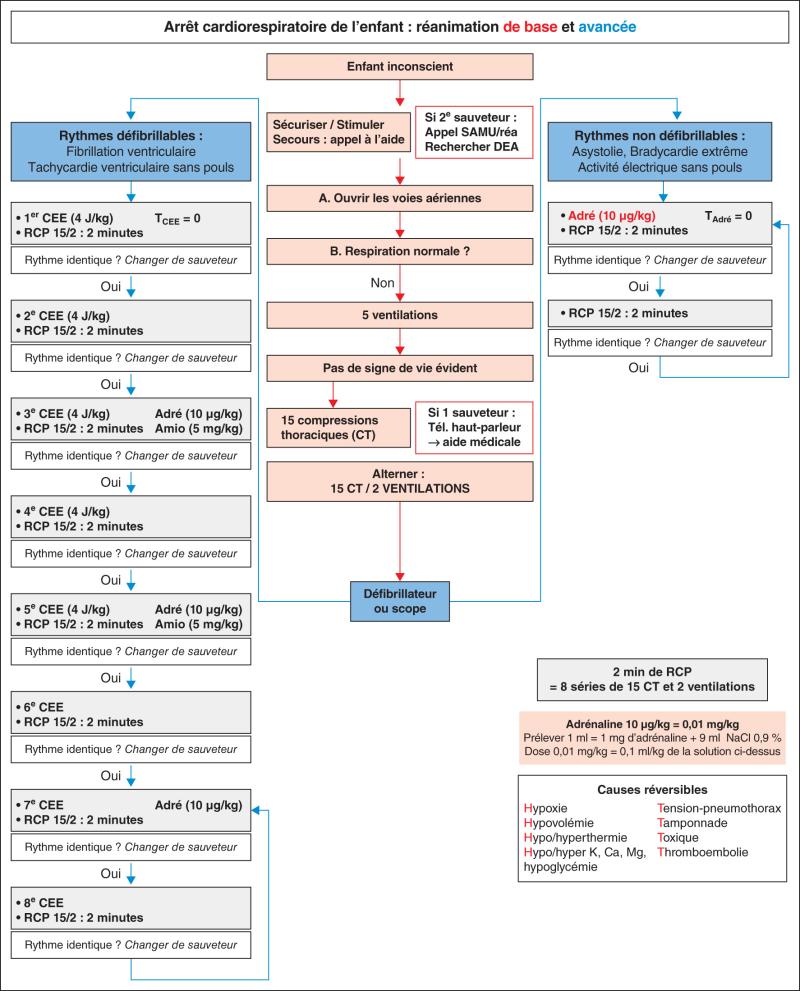 Fig. 65.1.  Algorithme de l’arrêt cardiorespiratoire de l’enfant : réanimation de base et avancée.
