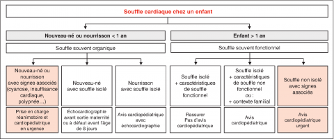 Souffle cardiaque | Collège nationale des pédiatres universitaires ...